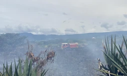 Incendie Plateau Caillou