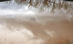 pluie 