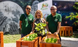 Jardinnières distribuées pour le RUCH Saint-Denis