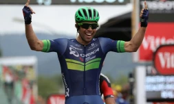 Le sprinteur australien Michael Matthews, vainqueur à Revel au terme de la 10e étape du Tour de France, le 12 juillet 2016