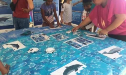 sensibilisation mamifĂšres marins globice