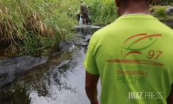 Sécheresse : le Sud Sauvage totalement à sec, poissons et crustacés en danger