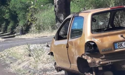 carcasse de voiture retrouvée par Band cochon