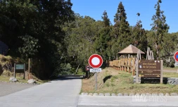 route forestière des tamarins RF9