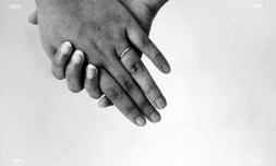 illustrations photos