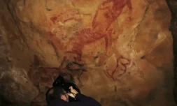 Paroi ornée dans la réplique de la grotte d'Altamira en Espagne, en 2016 ( Proyecto Handpas / HO )