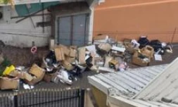 Une centaine de makotteries photographiées sur 20 communes seulement