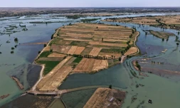 Une zone inondée dans la province syrienne de Deir Ezzor, le 31 mai 2026, suite aux récentes crues provoquées par la montée des eaux de l'Euphrate