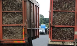 Sucrerie Bois-Rouge 7 décembre 2017