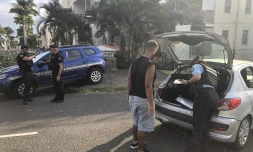 Le Tampon : stupéfiants saisis, véhicules mobilisés et interpellations dans le quartier de la Chatoire