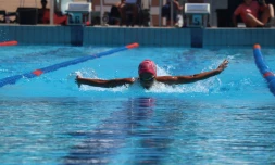 Natation : 7 records régionaux et 19 qualifiés aux championnats France, La Réunion frappe fort