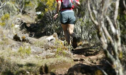 Course en montagne
