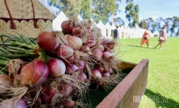 Saint-Paul valorise son patrimoine agricole à la Fête de l’Agri-Kultur 2025