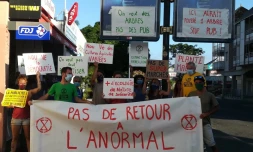 Extinction Rébellion Réunion plante des arbres et s'attaque aux pubs 31 mai 2020