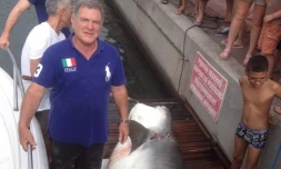 PĂŞche requin tigre