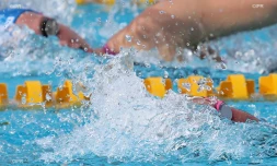 meeting natation 2015