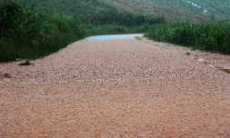 fortes pluies dans l'est