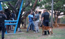 operation controle gang  mahorais 