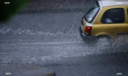 pluie 