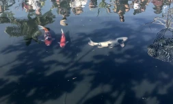 Flore et halle au Port 24ème édition