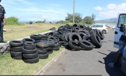 Nettoyage étang du Gol 