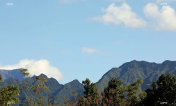 paysages 