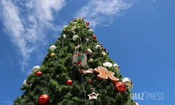 arbre de noël