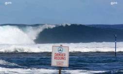 Panneaux danger requins.