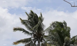 météo réunion 