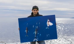 "Les eaux du volcan" : de la Fournaise à l'océan, un documentaire qui suit le courant