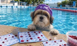 Jeanne Natation Loto quine