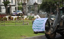 opération escargot planteurs