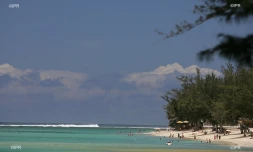 lagon