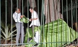 thierry robert installe sa tente