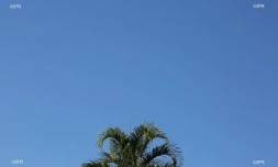 météo réunion 