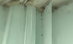 Lycée patu de rosement