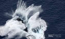 baleines septembre 2023