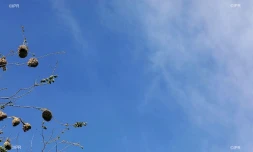 météo Réunion 