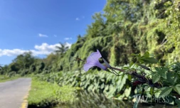 Météo Réunion