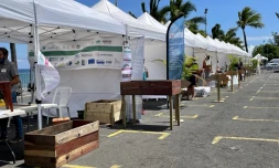 Un village de l'économie sociale et solidaire installé à Saint-Paul 