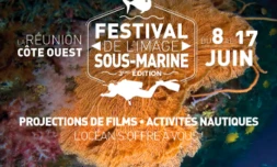 Découvrez l\'univers sous-marin de La Réunion