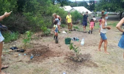 Casabona : près de 200 pie dbwa plantés ce dimanche 