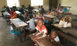 Distribution livres Comores tortues