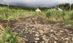 Le terrain d'un agriculteur de Sainte-Rose inondé