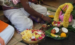 Cavadee février 2017 