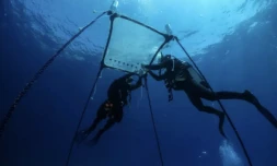 Des chercheurs installent dans les eaux de la méditerranée une pépinière flottante de corail, au large d'Ayia Napa, dans le sud-est de l'île de Chypre, le 20 juin 2024 ( AFP / Emily IRVING-SWIFT )