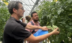 Protection des cultures : le projet SAâIRA prĂ©sente ses premiers travaux aux professionnels agricoles