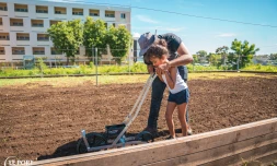 plantation riz au port 