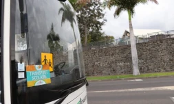 TCO : le point sur les transports scolaires dans l'ouest