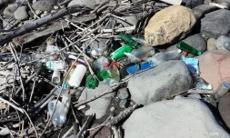 déchets 
